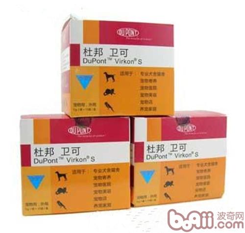 Everything Precautions for Disinfecting Dog Environments
