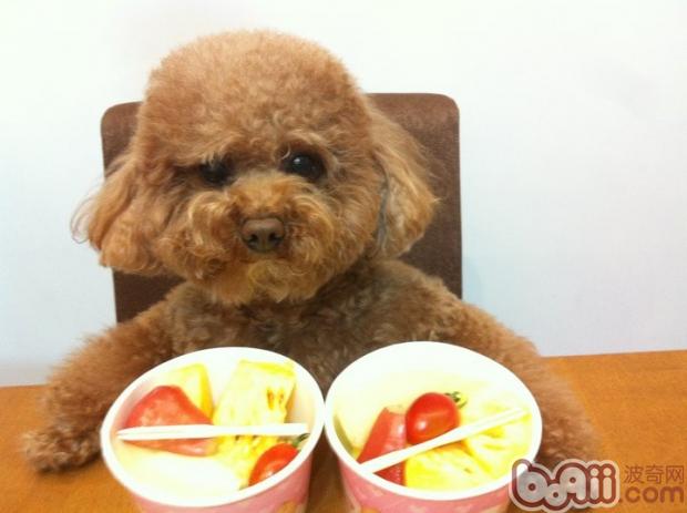 Introduction to several fruits that are fatal to dogs