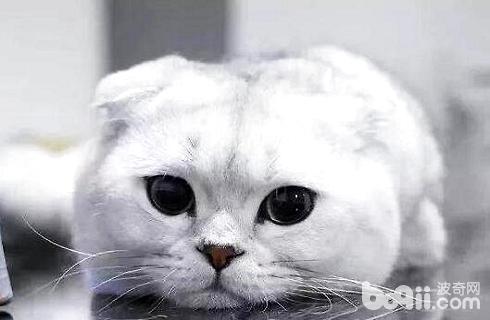 QQ screenshot 20190115155755.jpg